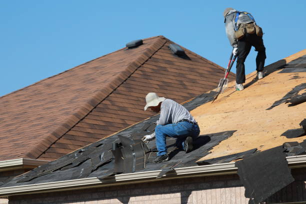 Best Metal Roofing Installation  in Taylor, MI