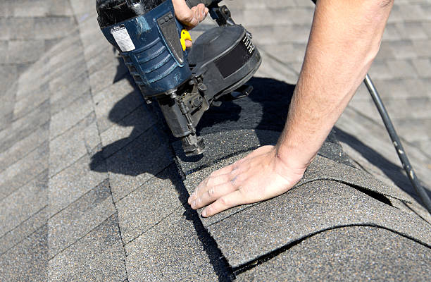 Best Skylight Installation and Repair  in Taylor, MI